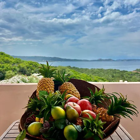 A Due Passi Dal Mare In Costa Smeralda